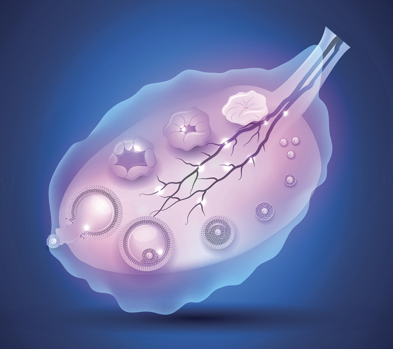 杭州有哪几家医院可以做试管婴儿-附试管费用及成功率参考